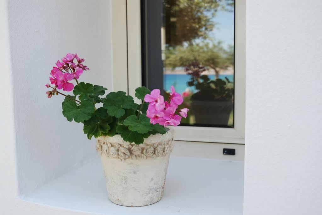 The Sand Suites (Adults Only) Agios Nikolaos Exteriör bild
